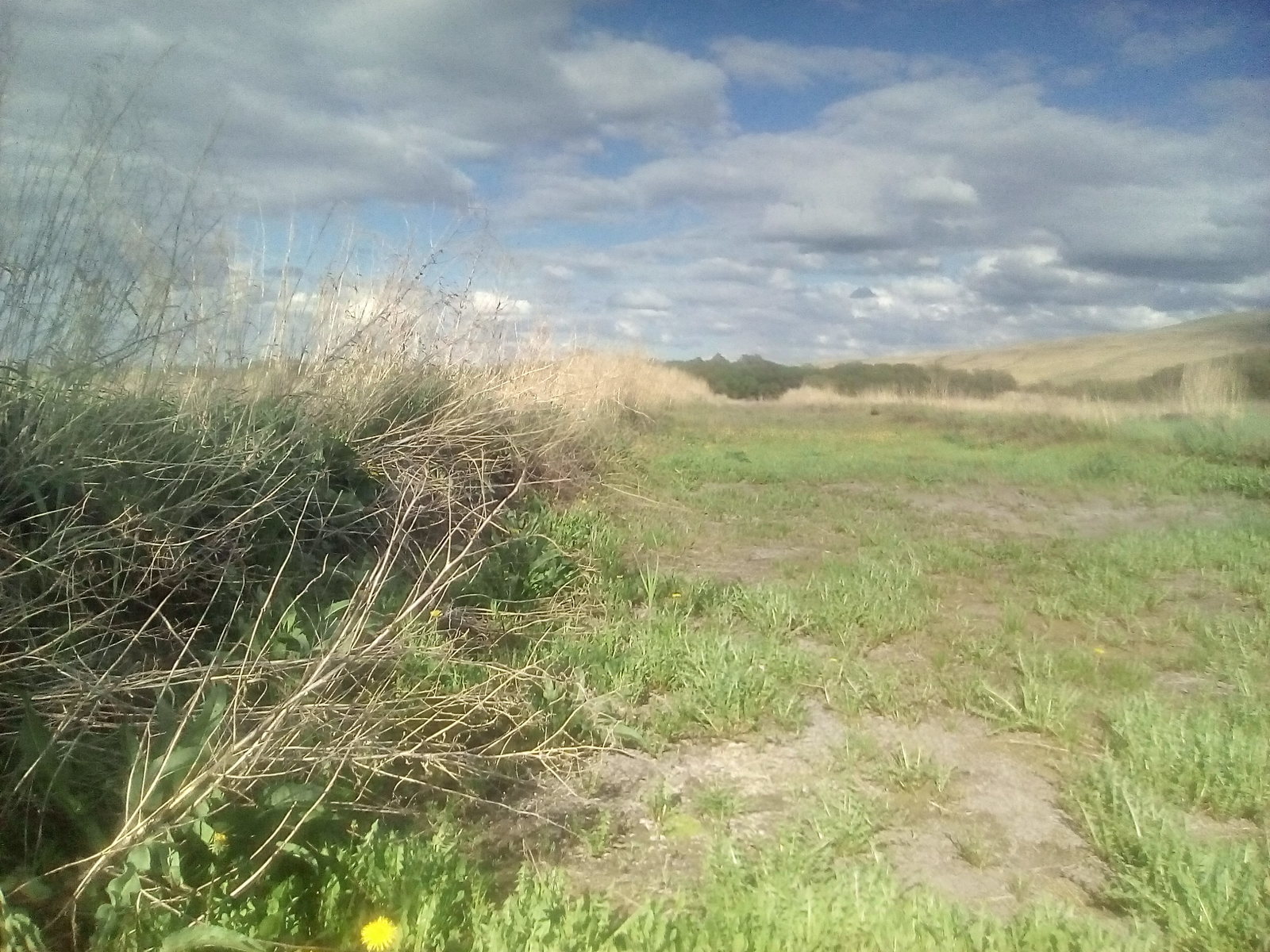 Unnecessary black soil - Road, Land, Longpost