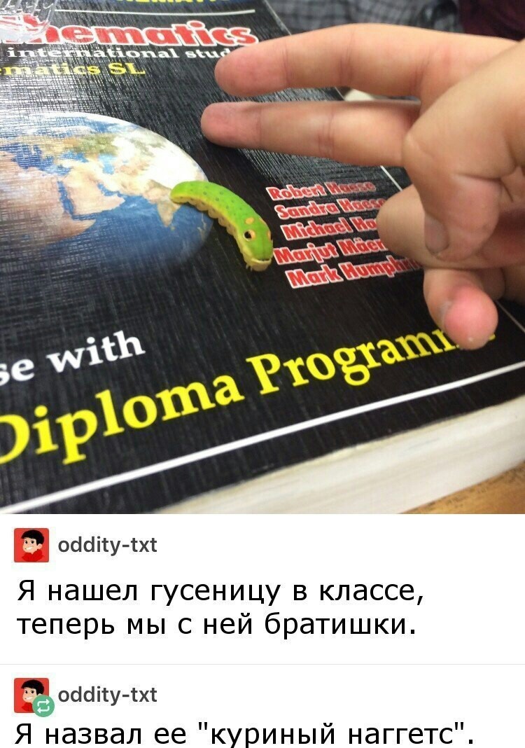 Куриный наггетс - Длиннопост, ВКонтакте, Честно украдено