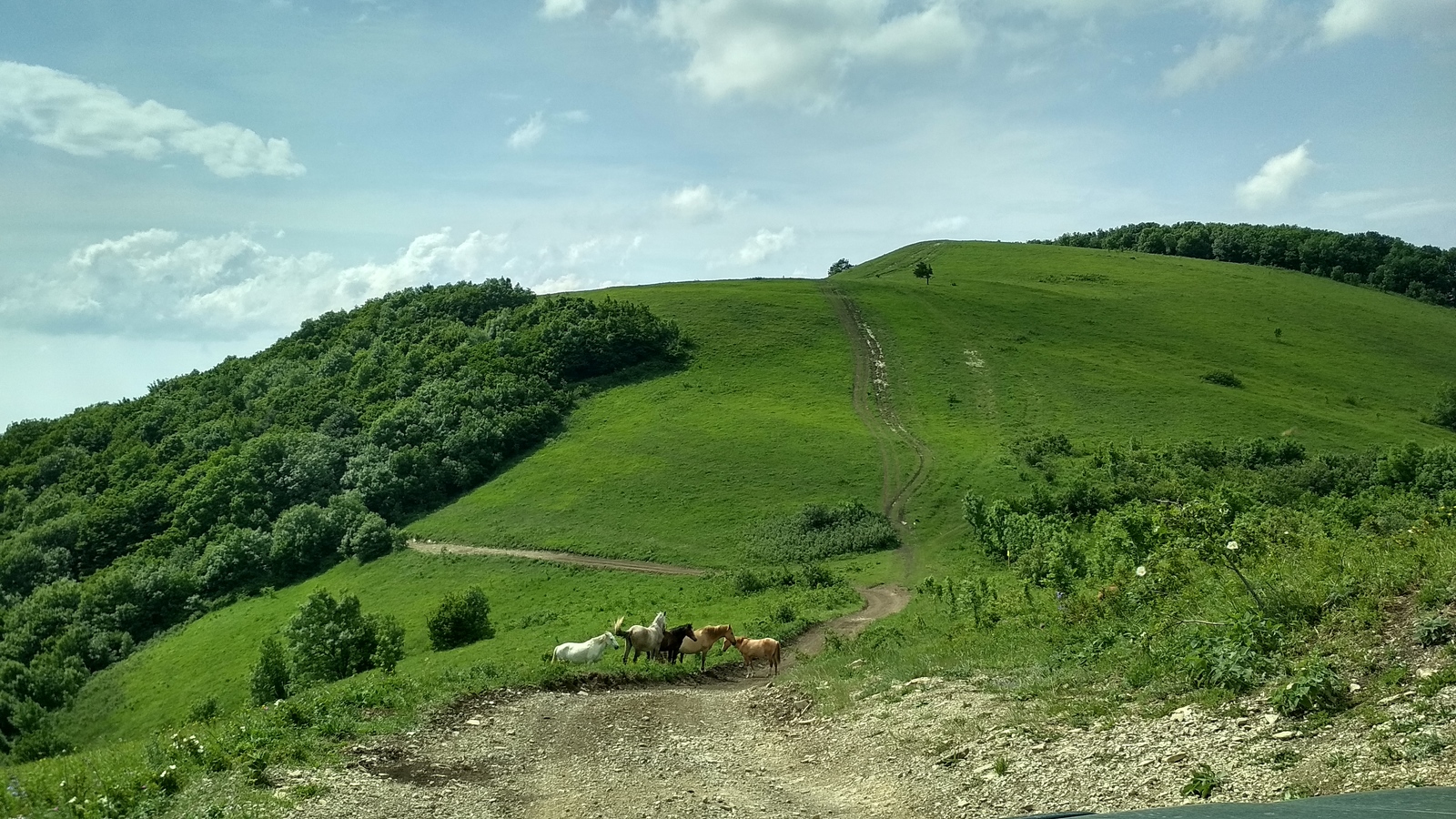 Wuthering Heights - My, The nature of Russia, Gelendzhik, Wuthering Heights, Longpost