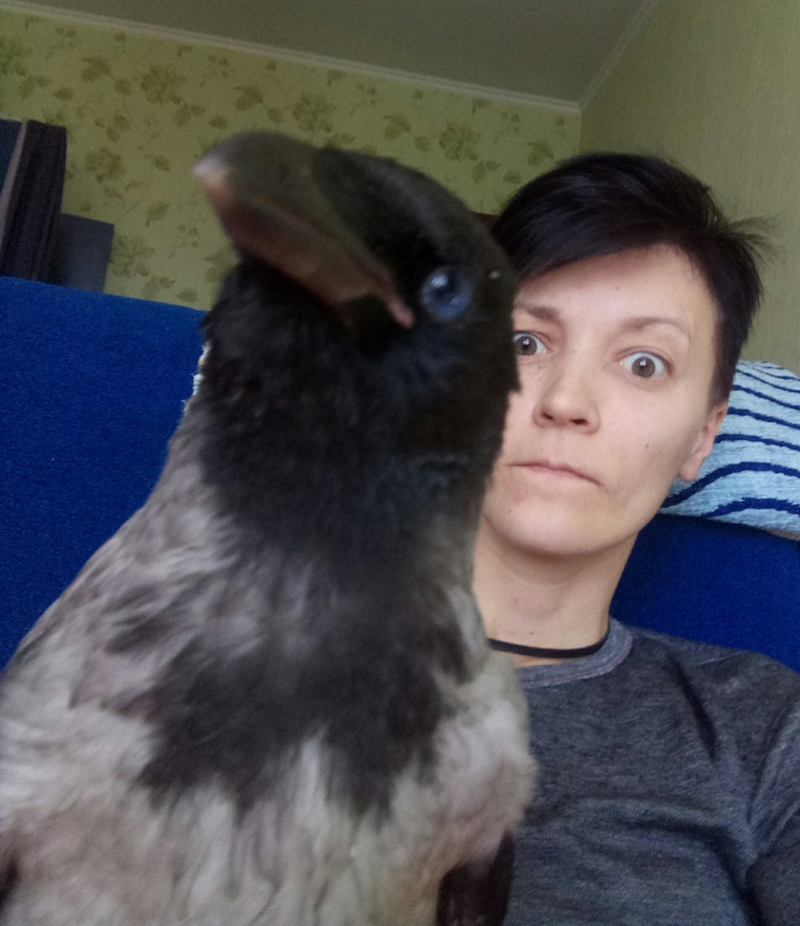 Ornithologists Peekaboo, what to do? - My, Crow, Help, Ornithology, Helping animals, Advice