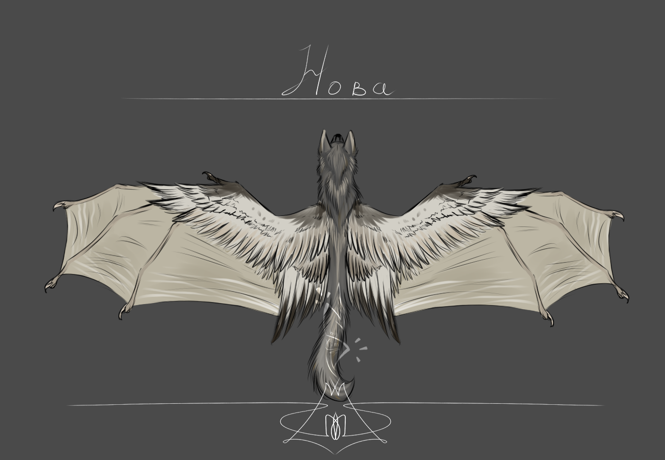 Wing concepts - My, Concept Art, Simuran, Wings, Longpost, Digital drawing, Drawing