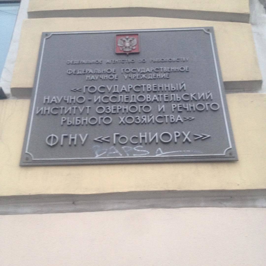 Кто себя плохо ведёт того утащит Госниорх - Моё, Госслужба, Аббревиатура, Нии