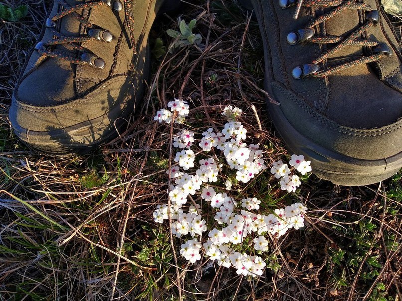 Hike in the Crimea. May 2018 Day two. - My, Crimea, Hike, Tourism, Travels, Chatyr-Dag, Longpost, Route, 