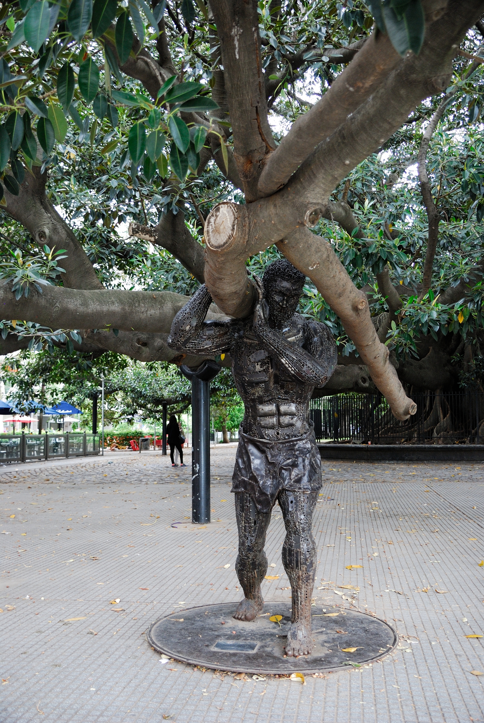 free ficus - My, Ficus, Tree, Buenos Aires, Argentina, The statue, Longpost, Sculpture