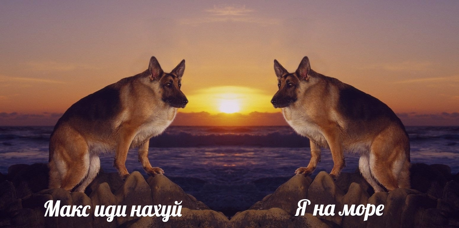 Морской макс | Пикабу