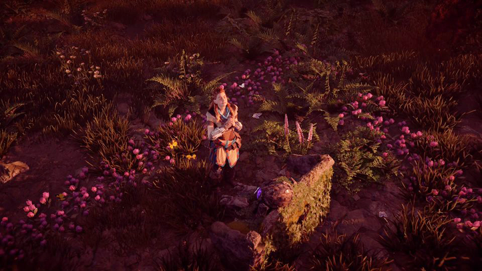 Help. The ending of Horizon Zero Down (in search of the grave). - Games, Playstation 4, No rating, Question