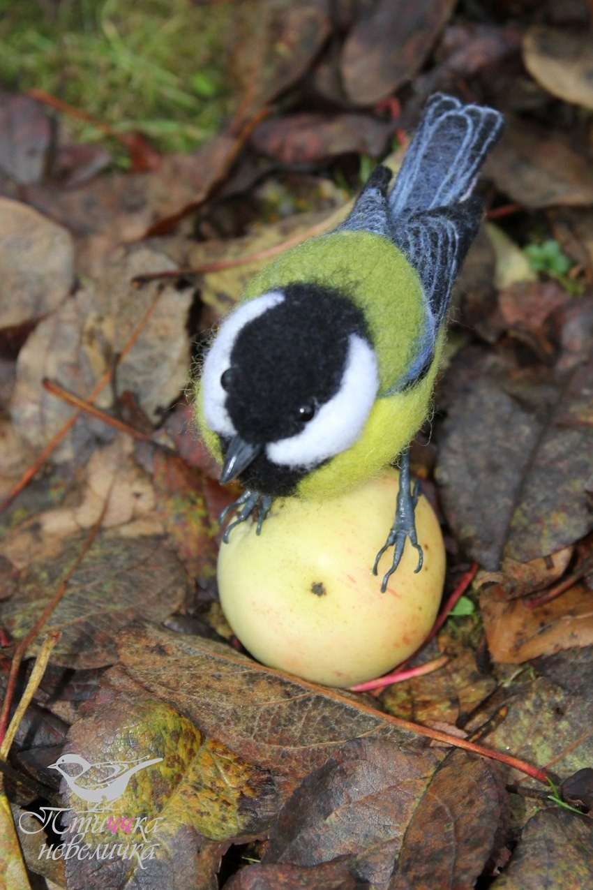 Tit. Dry felting. - My, Dry felting, Needlework without process, With your own hands, Creation, Birds, Tit, Handmade, Longpost