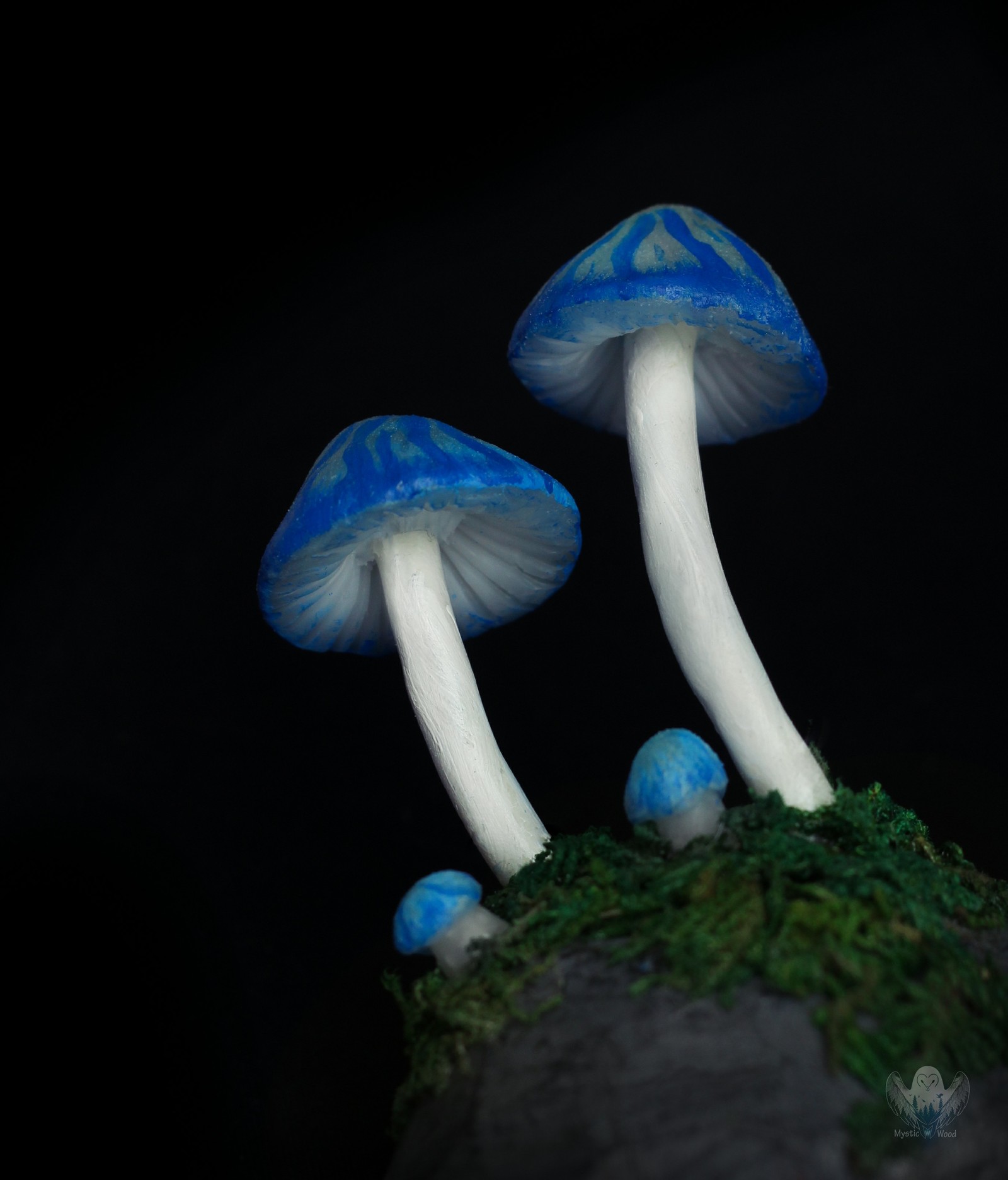 Blue Mushrooms - My, Mushrooms, Lamp, Polymer clay, Handmade, Needlework without process, Longpost