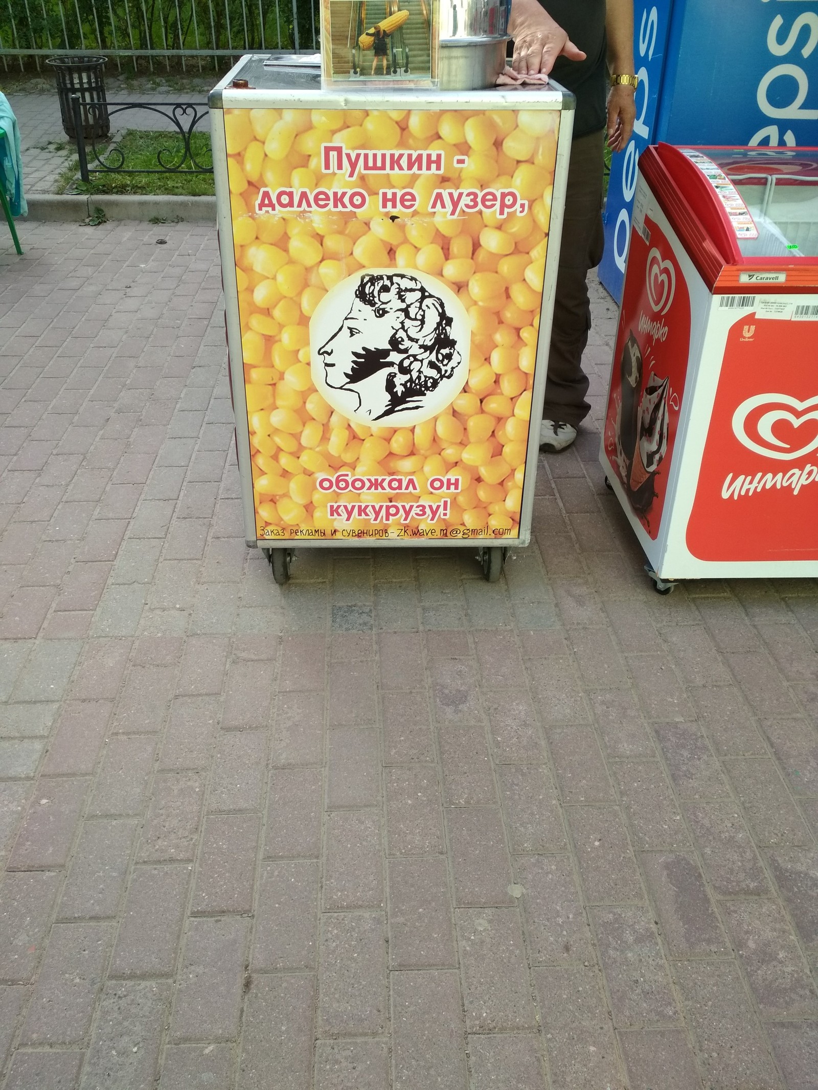 Pushkin is far from a loser! - My, Pushkin, Tsarskoe Selo, Corn, Advertising