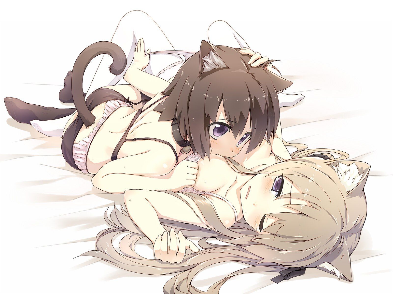 Anime Art by amagai tarou - NSFW, Anime art, Anime original, Anime, Neko, Yuri, Amagai tarou