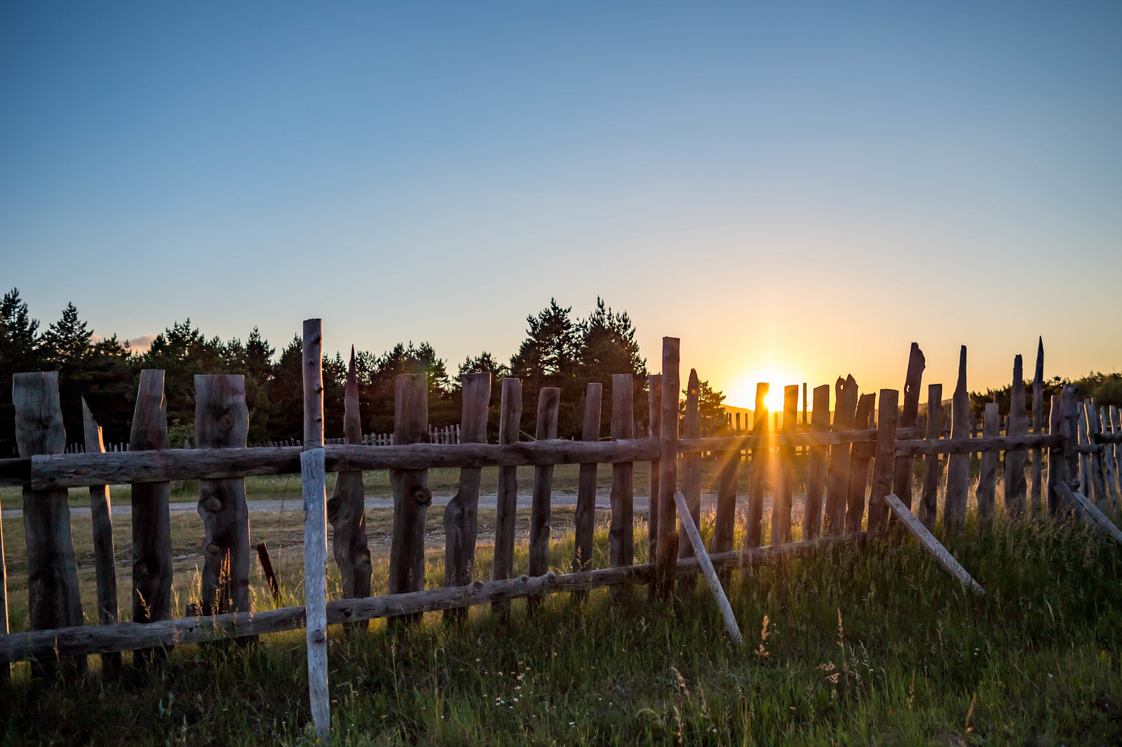 Trekking to Ai-Petri with overnight stay. Crimea. - My, Crimea, Travels, Tourism, The mountains, The photo, Animals, People, Nature, Longpost