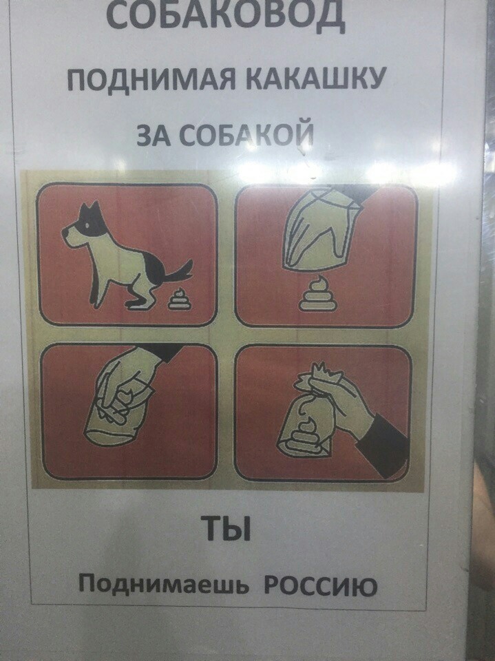 In one of the elevators in the Lower - Elevator, Dog, Nizhny Novgorod