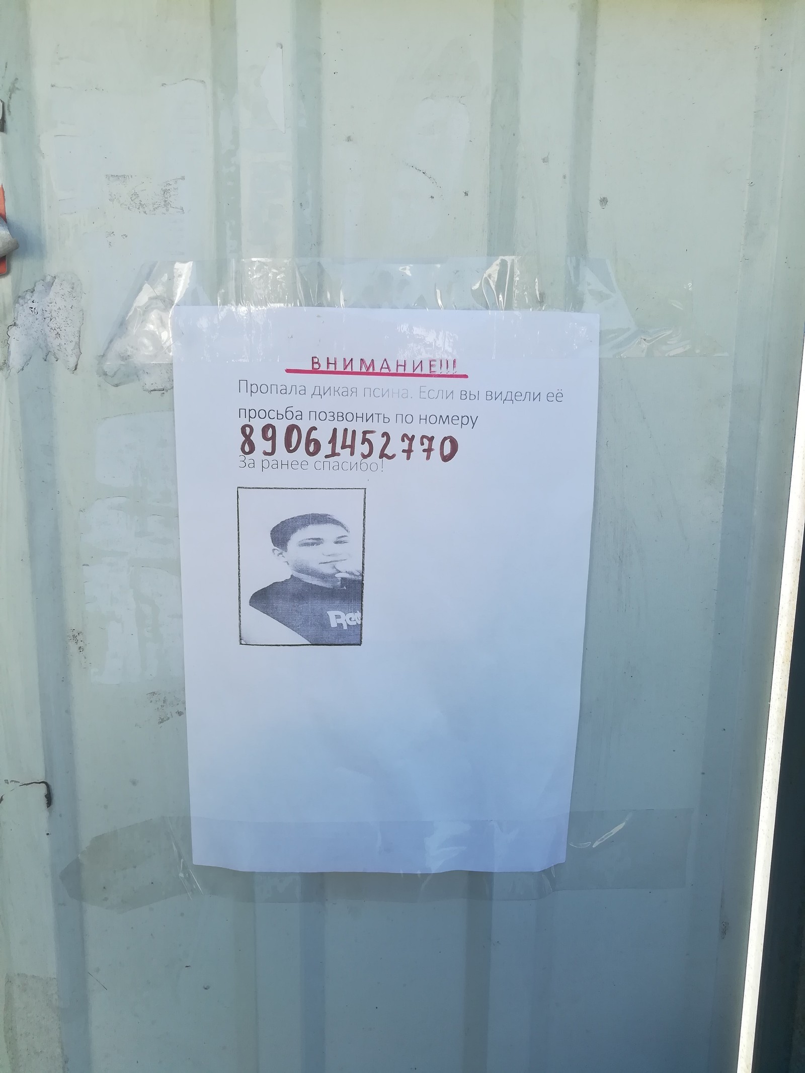 Attention wanted!!!! - My, Search, The photo, Ulyanovsk