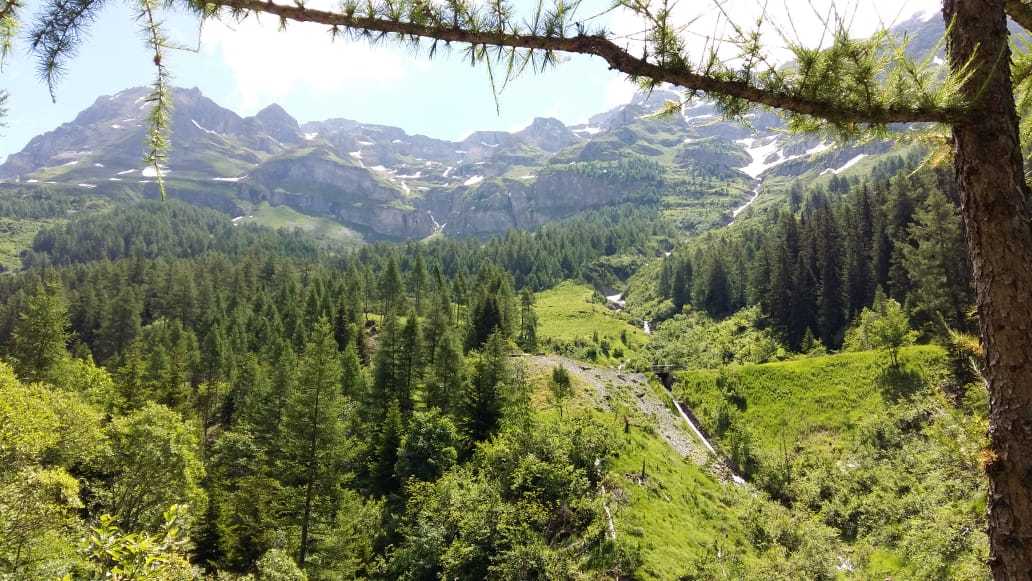 Swiss Alps in summer - My, The mountains, The photo, Switzerland, 