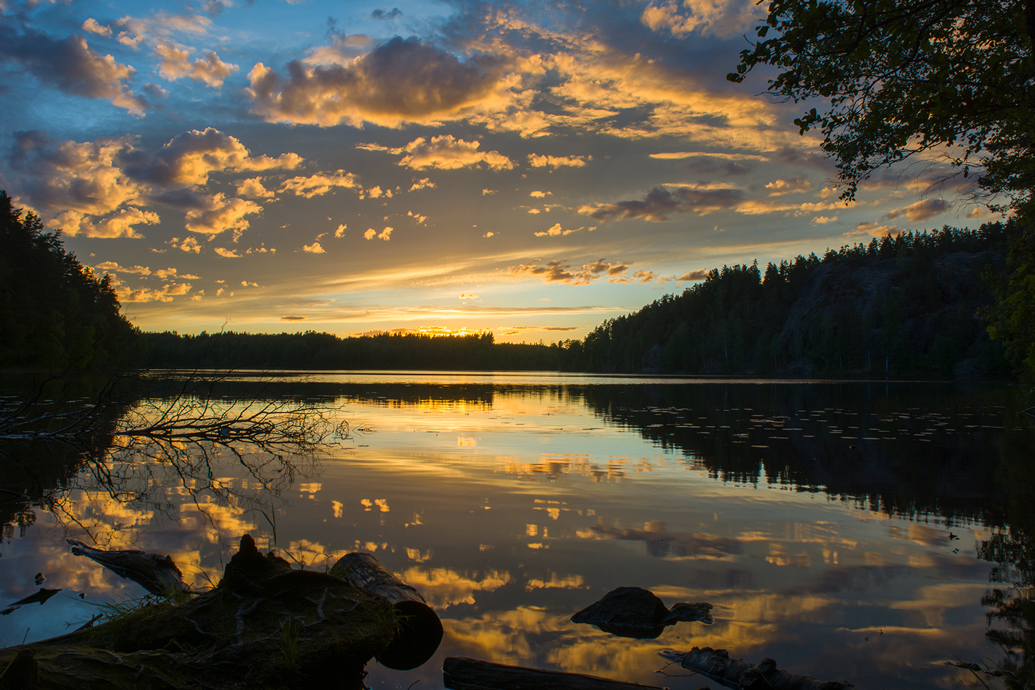 Golden sunset - My, Nature, Sunset, The photo, Lake, , Leningrad region, Hawk Lake