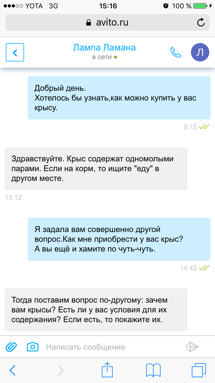 А вы продаёте крыс? - Моё, Крыса, Неадекват, Продажа, Авито, Длиннопост, Объявление на авито, Переписка, Скриншот