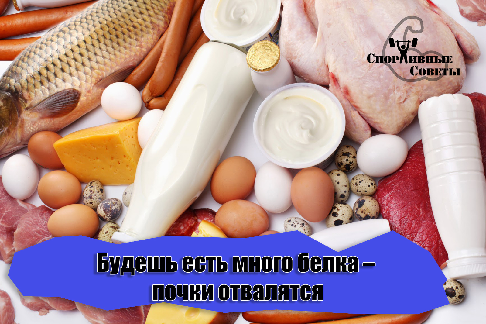 Будешь есть много белка – почки отвалятся - Моё, Спорт, Питание, Спортивные советы, Похудение, Белок, Здоровье, Исследования, Почки