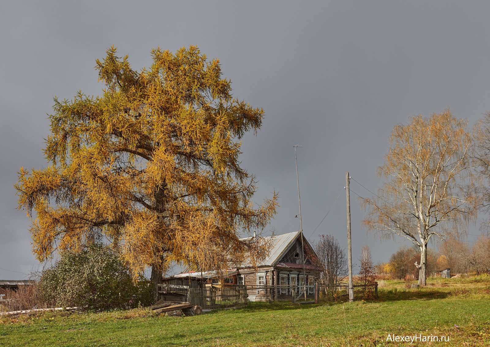 It's good to have a house in the country - My, Autumn, Village, an old house, Sunset, Larch