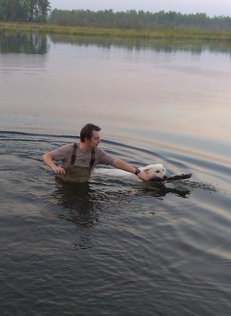 The life of a shepherd named Caesar. - My, Dog, White swiss shepherd, Longpost, The photo, Animals, Family