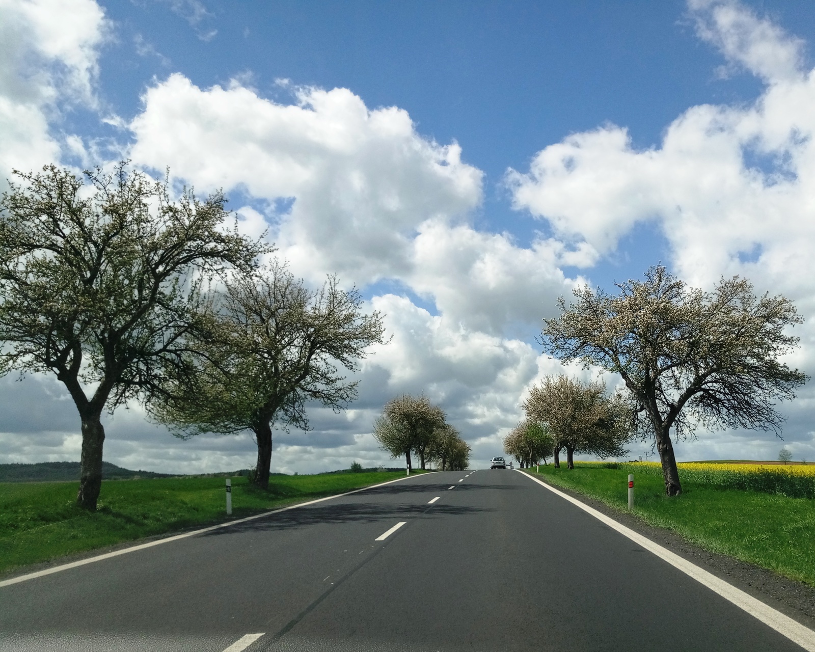 Czech Republic in April - My, Czech, Spring, Flowers, , The photo, Longpost