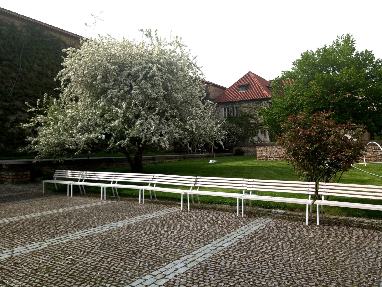 Czech Republic in April - My, Czech, Spring, Flowers, , The photo, Longpost