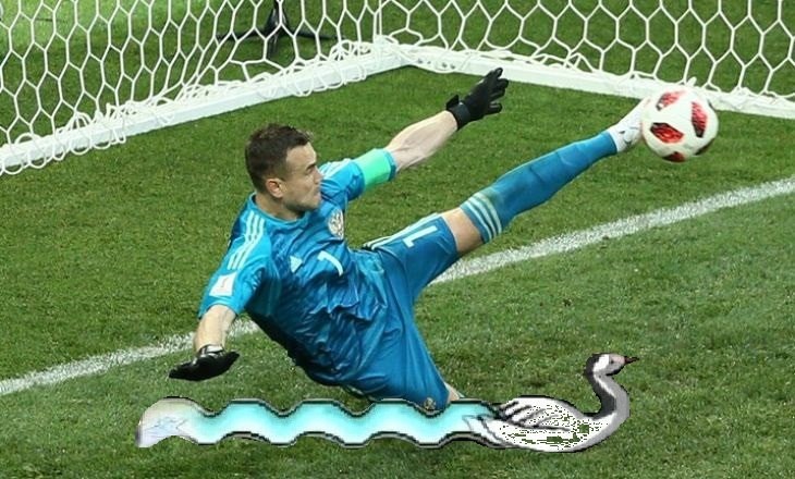 The power of the swan! - 2018 FIFA World Cup, Leg Akinfeev, World Cup 2018, World championship, Soccer World Cup, Football