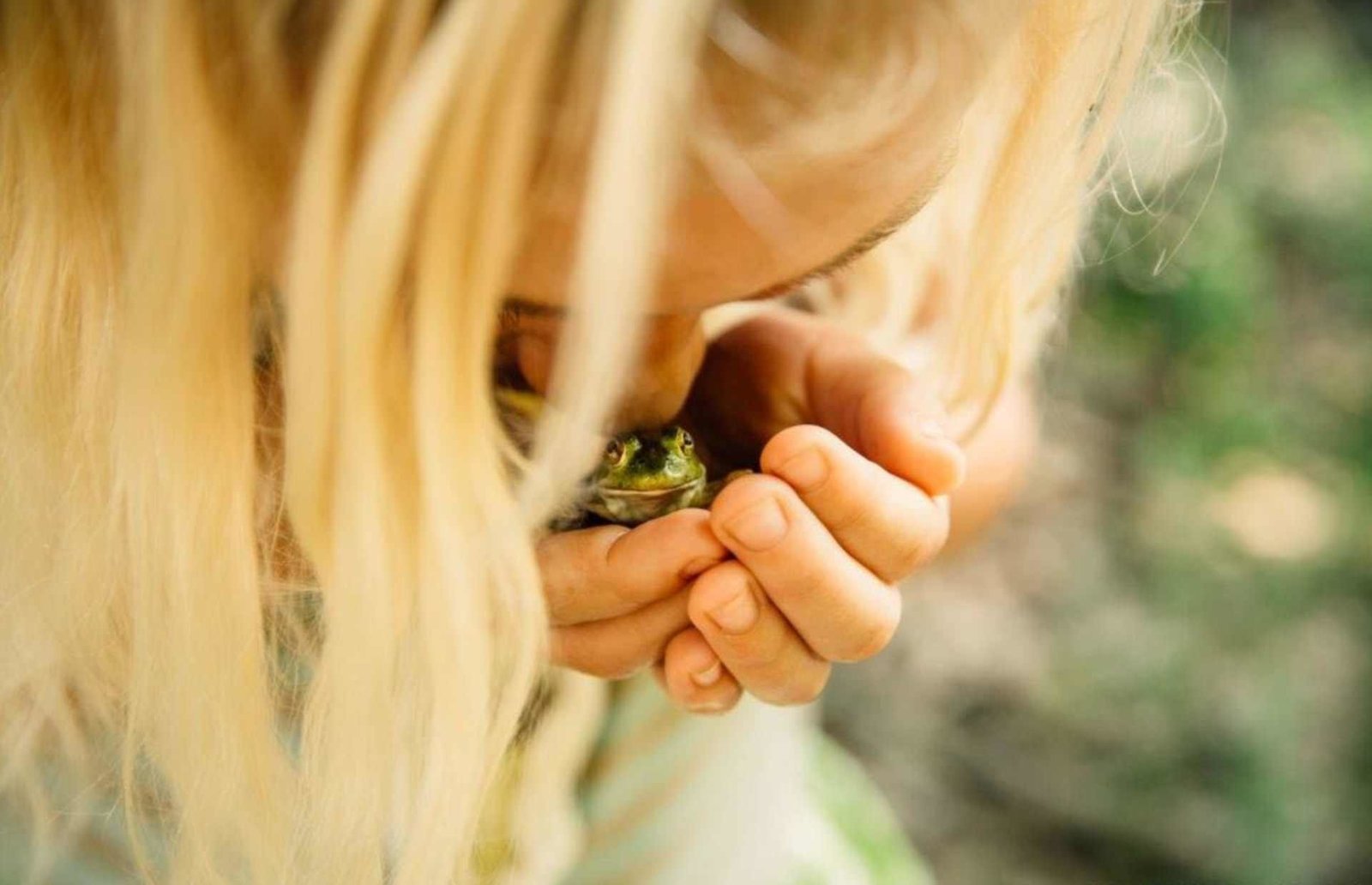 The Nature Conservancy Photo Contest Winners - The photo, Competition, , Longpost