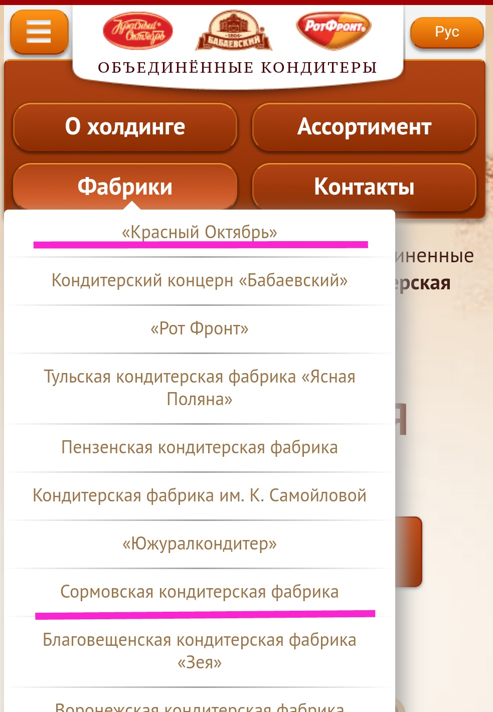 Сладкоежкам - Нижний Новгород, Сормово, Шоколад, Кондитерские изделия, Бренды, Холдинг, Длиннопост