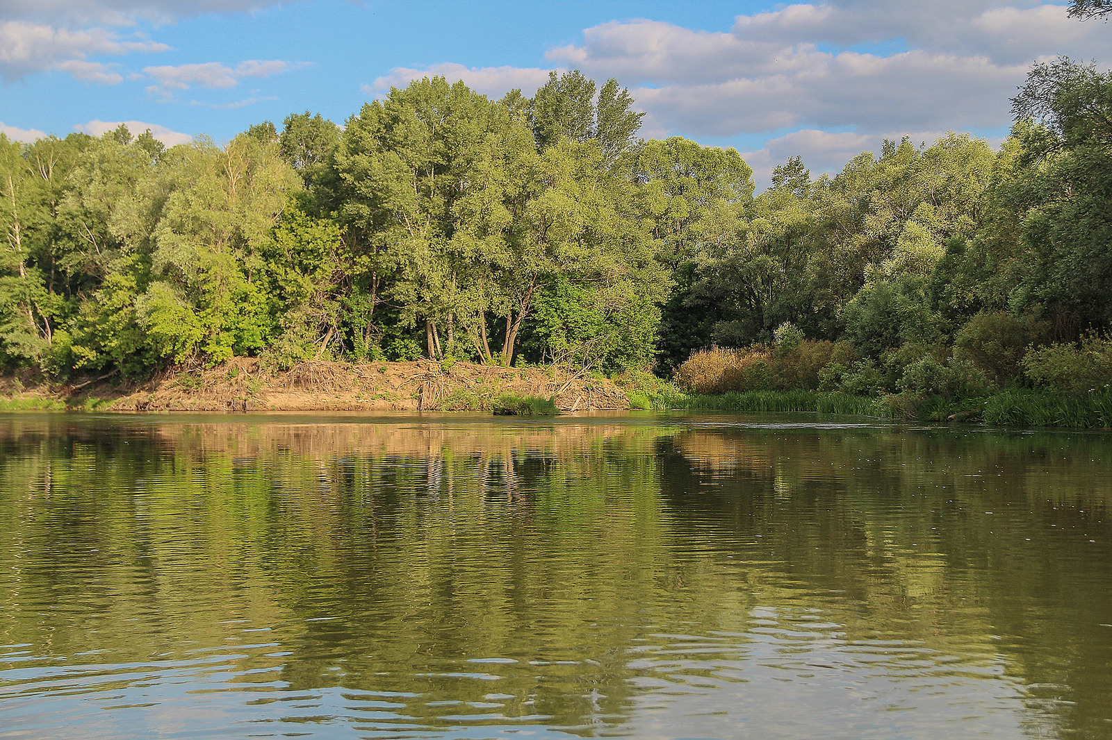 A bit of the Ural River in your feed - My, Ural, River, Alloy, Nature, Animals, Longpost