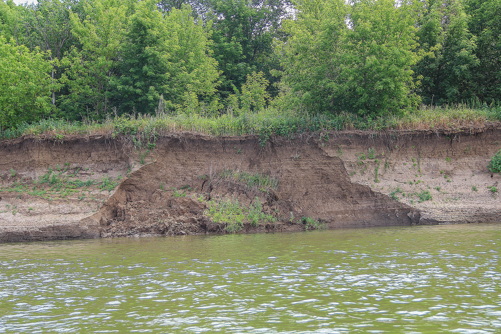 A bit of the Ural River in your feed - My, Ural, River, Alloy, Nature, Animals, Longpost