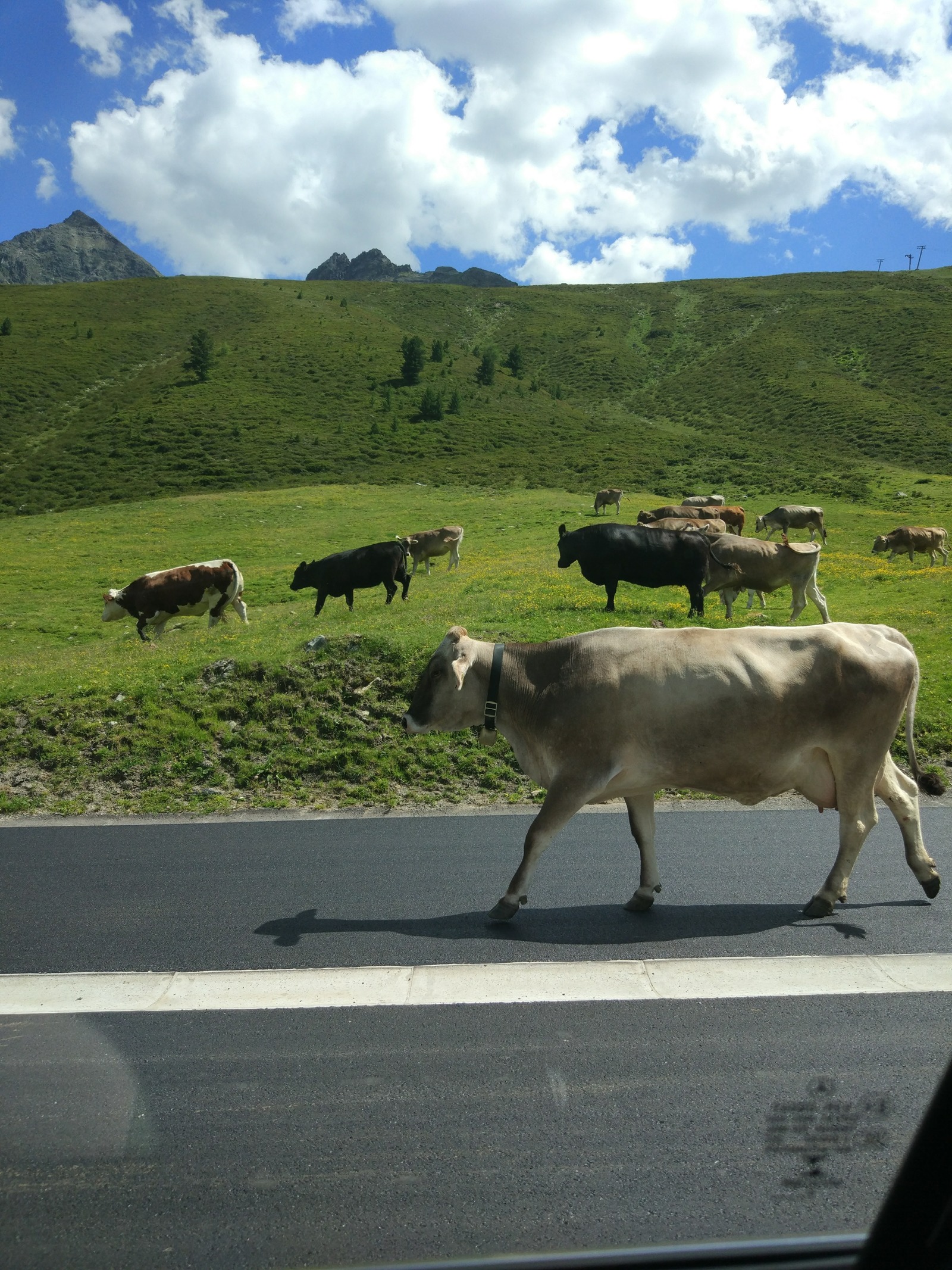 Hiking in the Austrian Alps - My, Hiking, Alps, The mountains, Austria, Travels, The photo, Longpost, Hiking