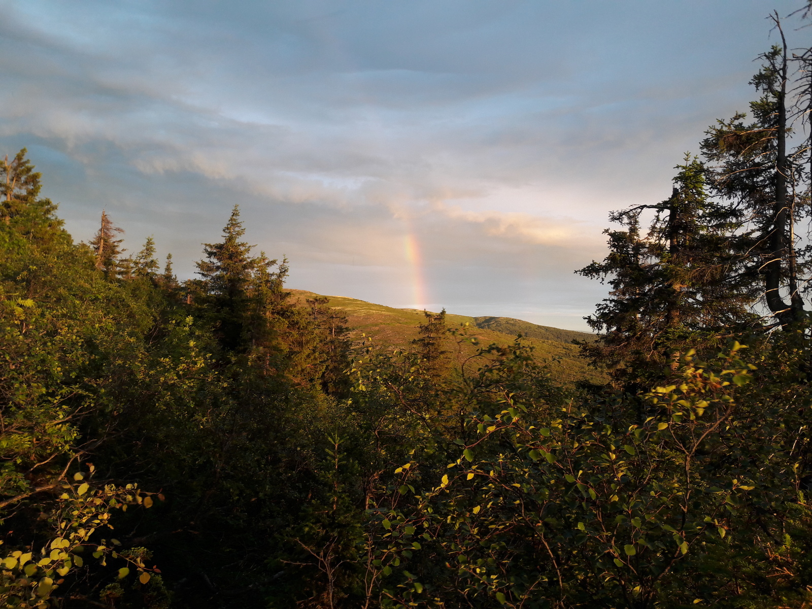 My trip to Kandalaksha - My, Kandalaksha, The mountains, Hill, Video, Longpost