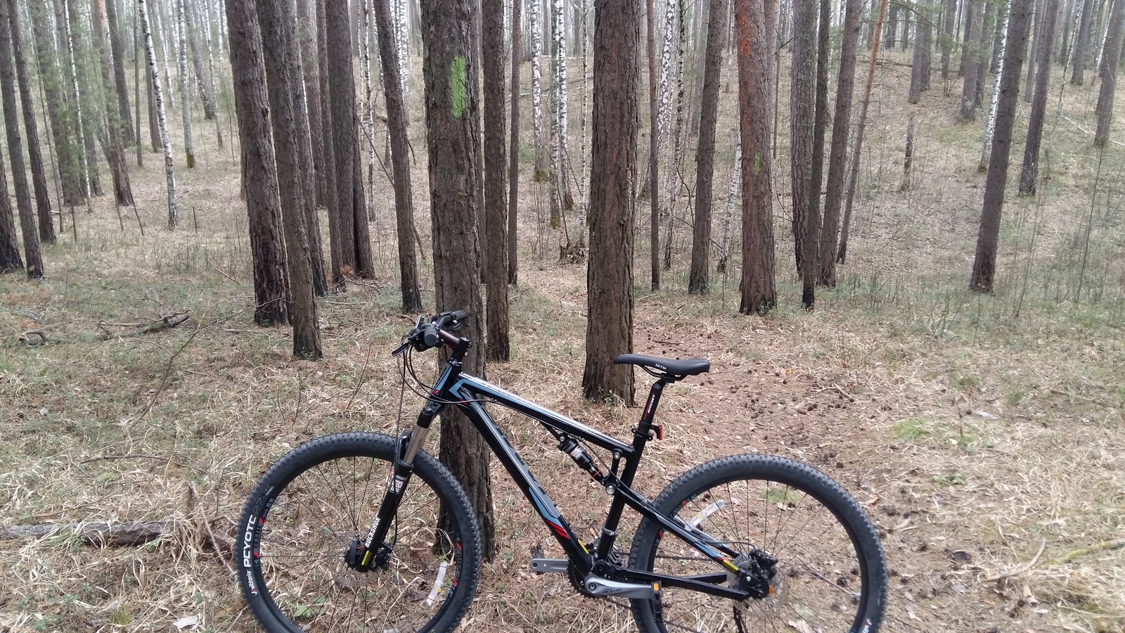 My first light bike trip in Altai. - My, A bike, Novosibirsk, Mountain Altai, Travelers, Longpost, Barnaul, Altai Republic