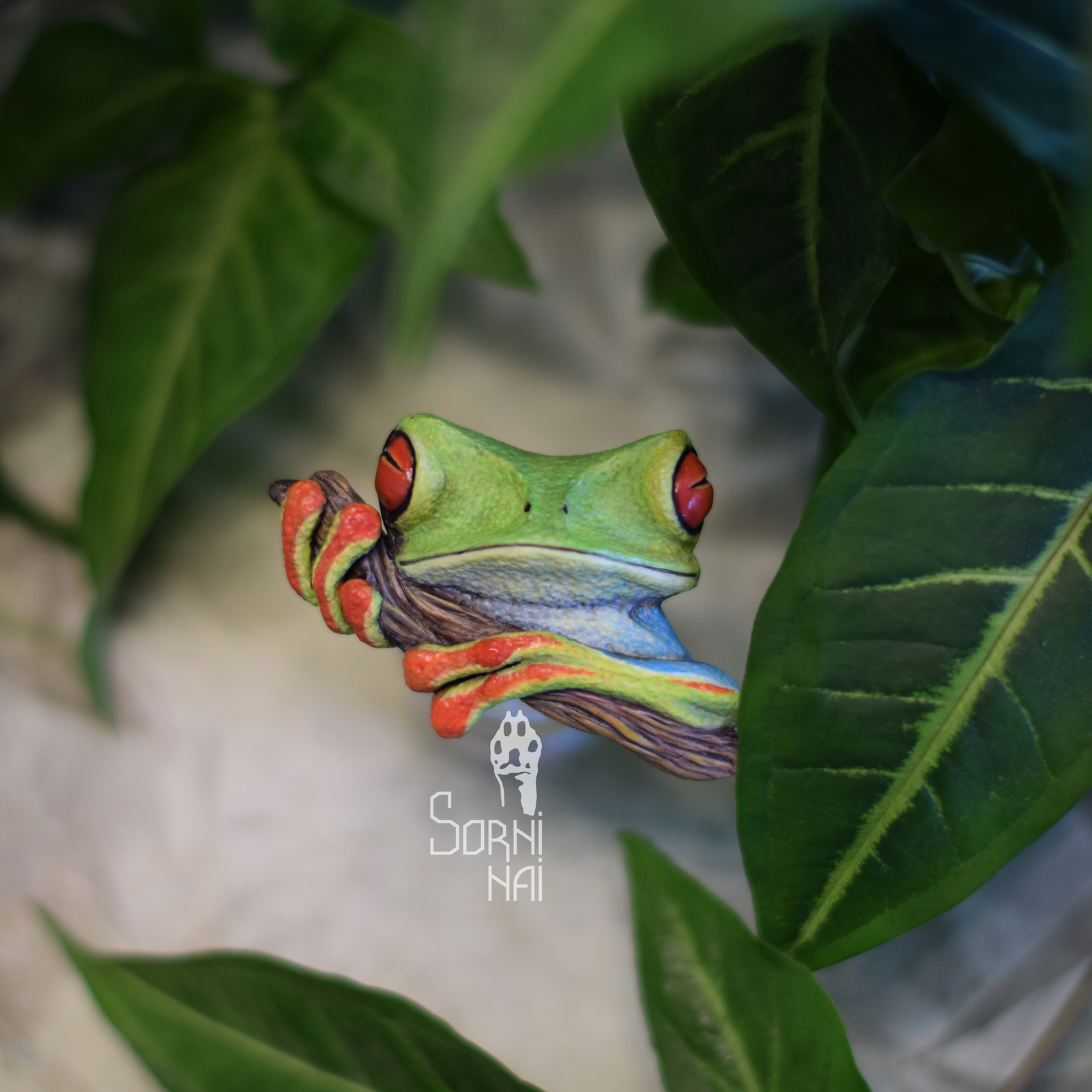 Tree frog - My, Tree frog, Frogs, Polymer clay, Super sculpey, Brooch, Longpost, Supersculpey