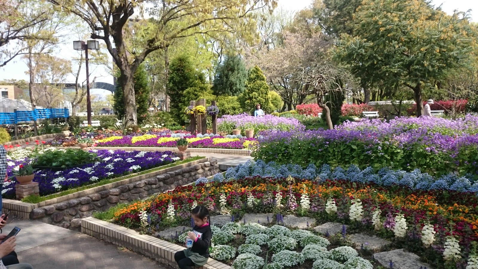 Japanese park. - My, Japan, The park, Nagoya, Nature, Longpost