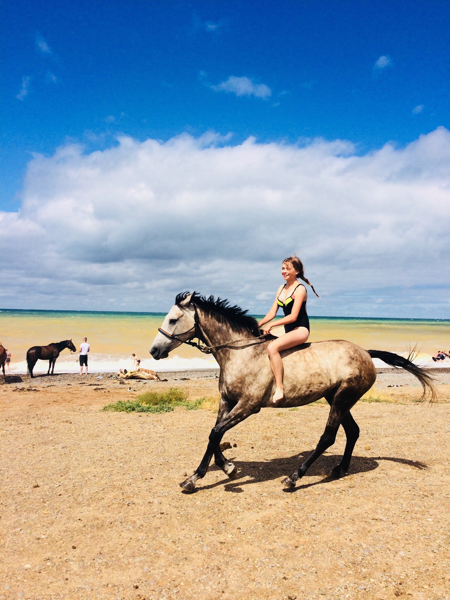 Horseback riding - My, Horses, Hike, Longpost