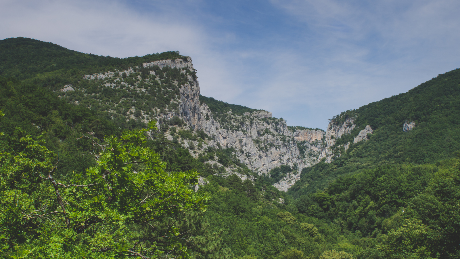 A short and fascinating journey through the Crimean Republic. - My, The photo, Canon, Crimea, Nature, Animals, The mountains, Beginning photographer, Longpost