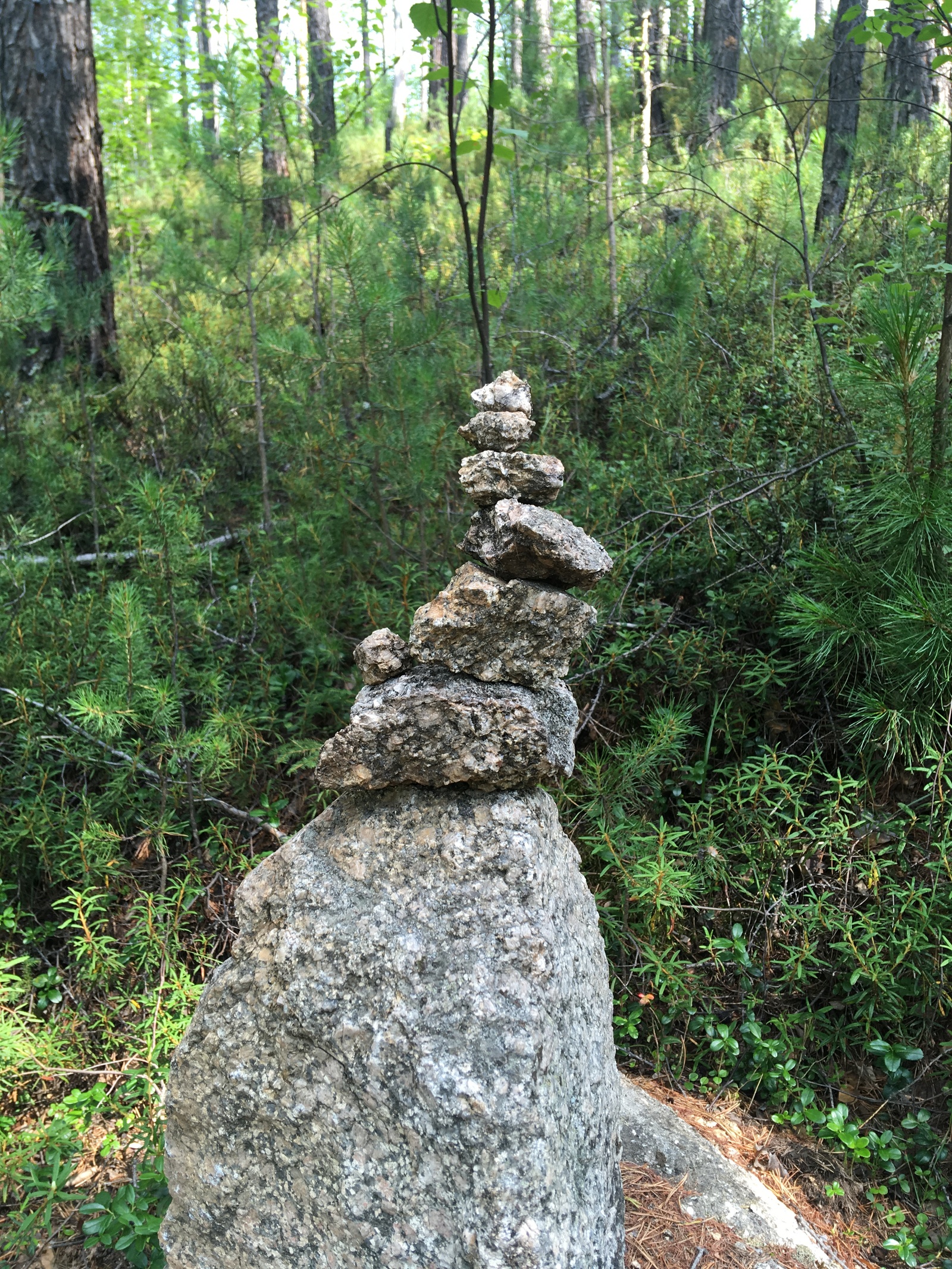 Skalniki and nature of the Olkhinsky plateau (Irkutsk region) - My, Olkhinskoe Plateau, Skalniki, Tourism, Tracking, Siberia, Longpost