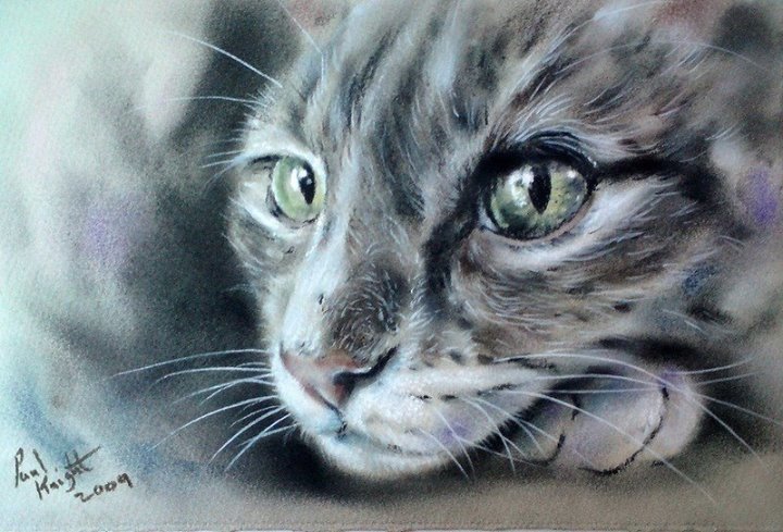 Adorable cats by English artist Paul Knight - cat, Painting, Fluffy, Milota, Longpost