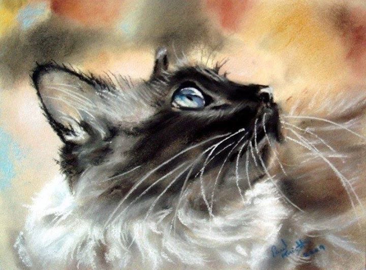 Adorable cats by English artist Paul Knight - cat, Painting, Fluffy, Milota, Longpost