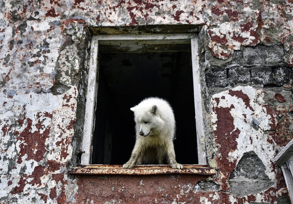 Abandoned city in Kamchatka - My, Kamchatka, Russia, , Abandoned, Abandoned cities, Longpost