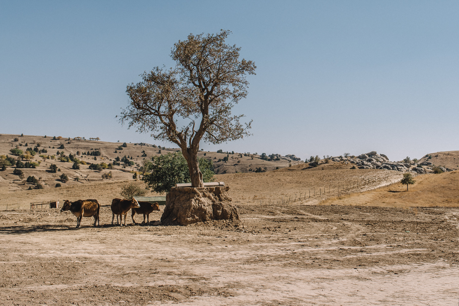 Trip to Uzbekistan. Part 6 - My, My, Travels, The photo, Uzbekistan, Nature, Architecture, Photographer, Longpost