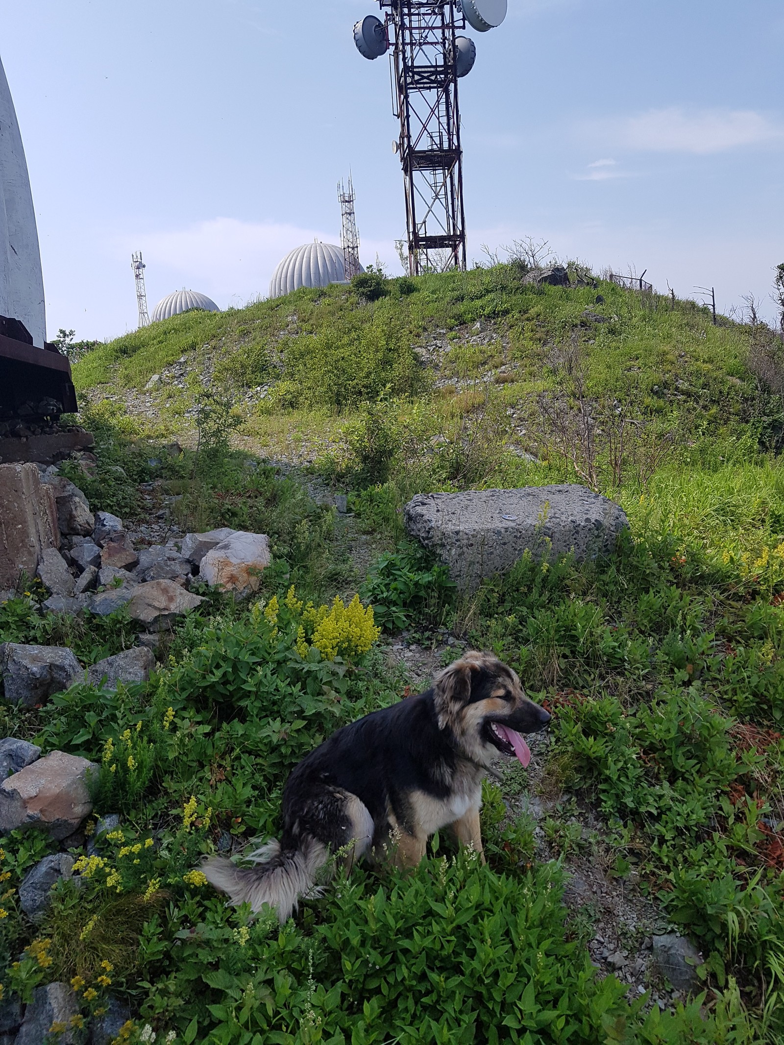 Black Bush, Primorsky Territory - My, The mountains, Primorsky Krai, Summer, My life, Longpost