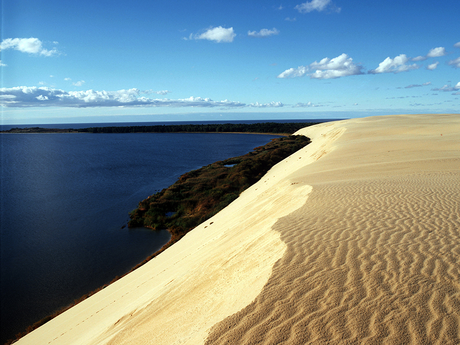 Curonian spit. - Curonian Spit, Kaliningrad region, Nature, The nature of Russia, Longpost