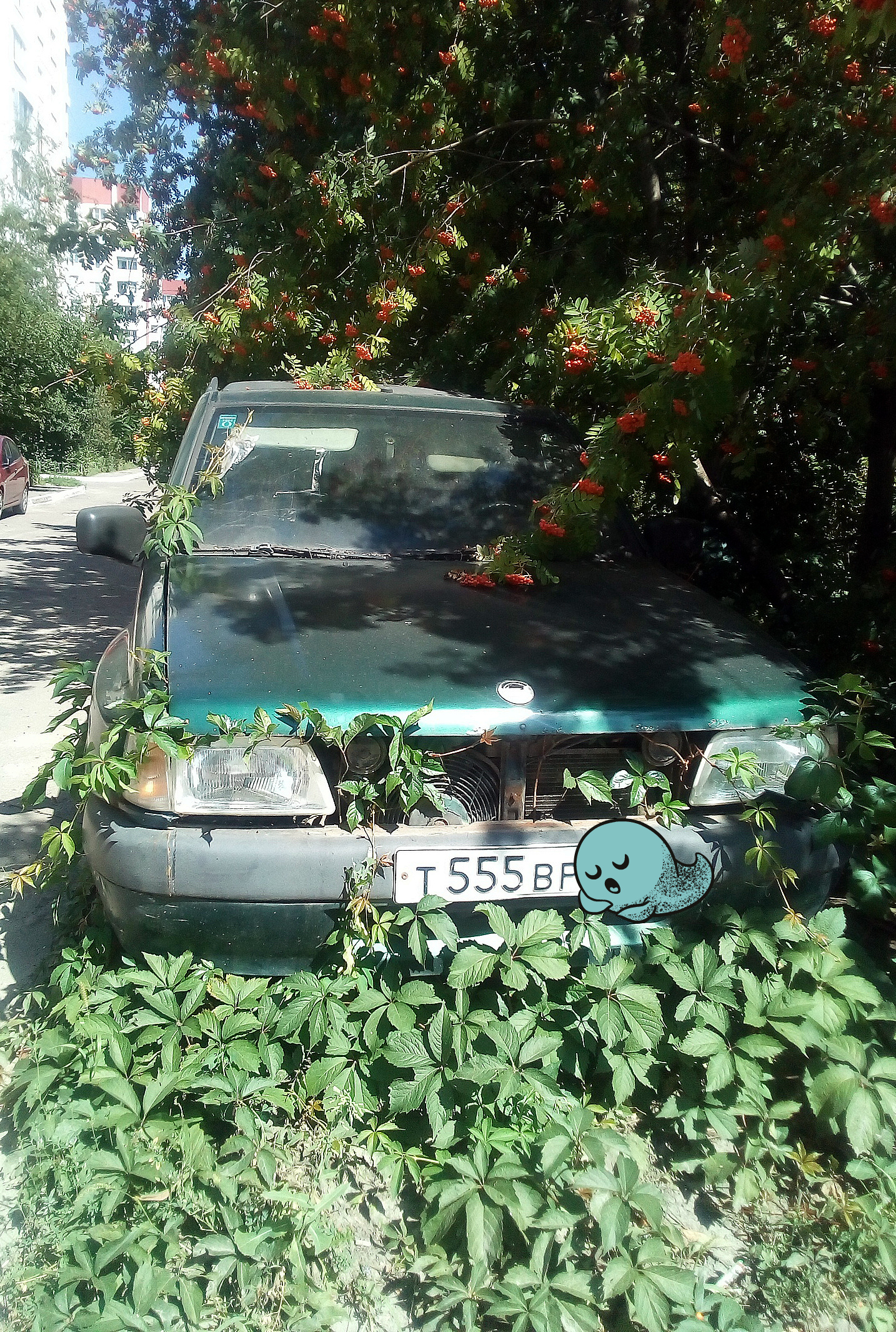 Captured, but not yet conquered. - Auto, Abandoned, The photo, Town, Longpost