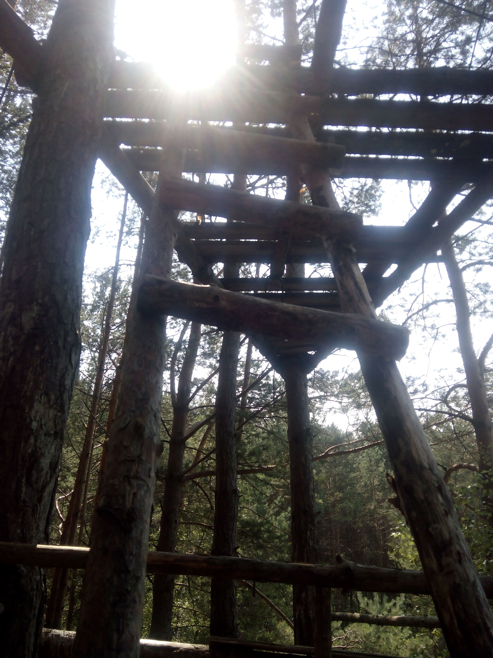 Walking through the forest, I found just such a design in the forest. I wonder what it's for? - My, Thing, , Forest, House in the woods, Wooden construction, Longpost