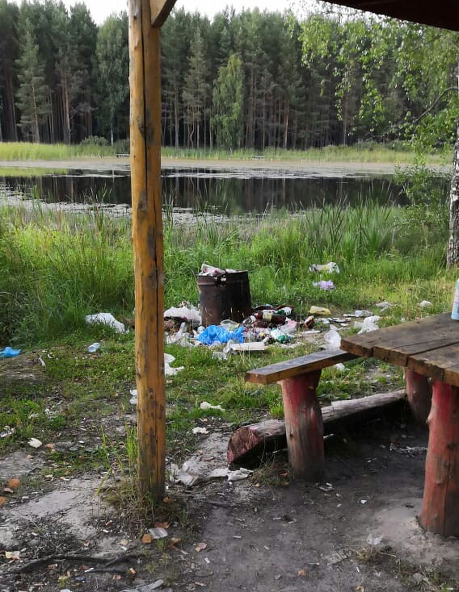 Good in nature, drawbar in your mouth - Garbage, Nature, Volokolamsk