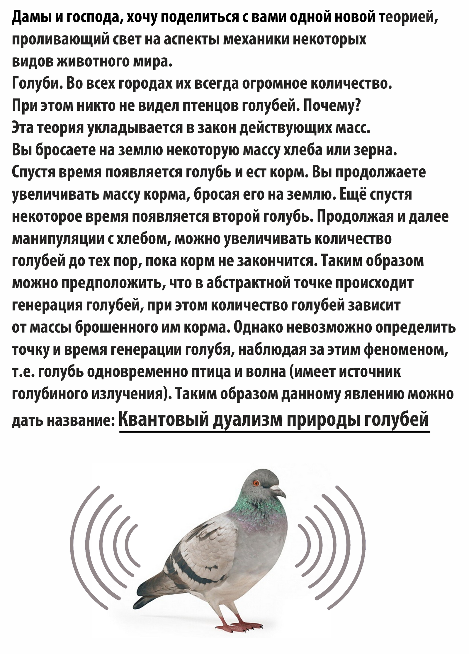 Квантовый дуализм природы голубей - Моё, Голубь, Квантовая физика, Физхимия, Юмор, Научный юмор, Задумайтесь