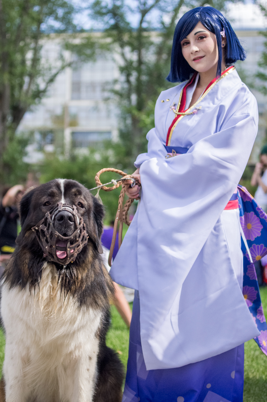 Walks in Gorky Park (J-fest) - My, Dog, Moskovskaya storozhevaya, Cosplay, , Neet, Spiderman, Longpost