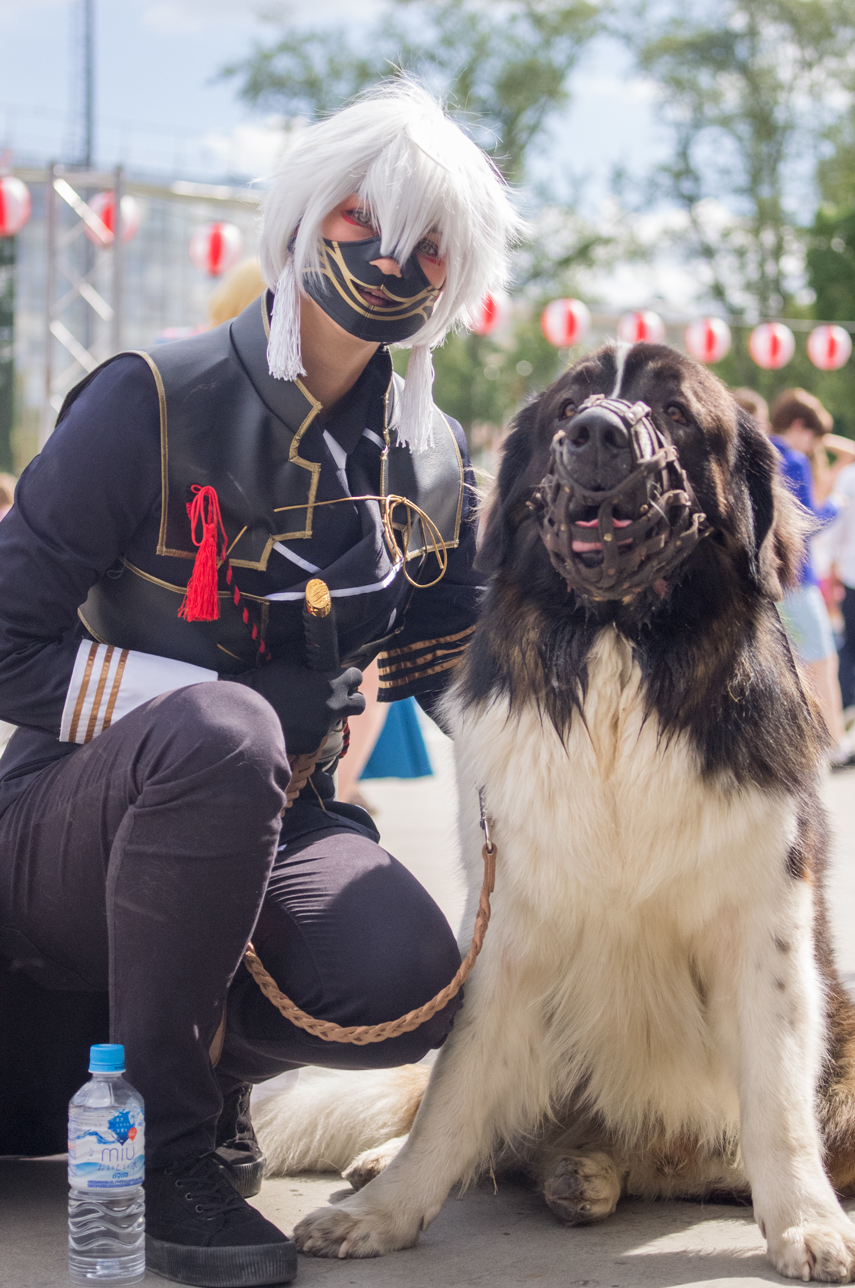 Прогулки по парку Горького (J-fest) - Моё, Собака, Московская сторожевая, Косплей, j-Fest, Neet, Человек-Паук, Длиннопост